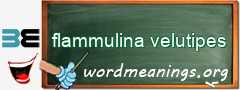 WordMeaning blackboard for flammulina velutipes